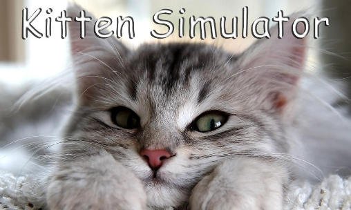 game pic for Kitten simulator